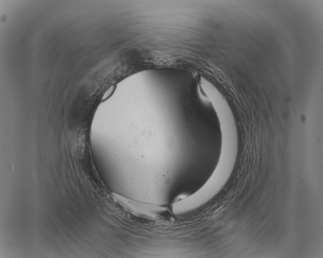 X0000062880697200602101717