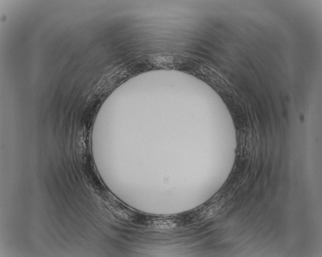 X0000062880702200602101717