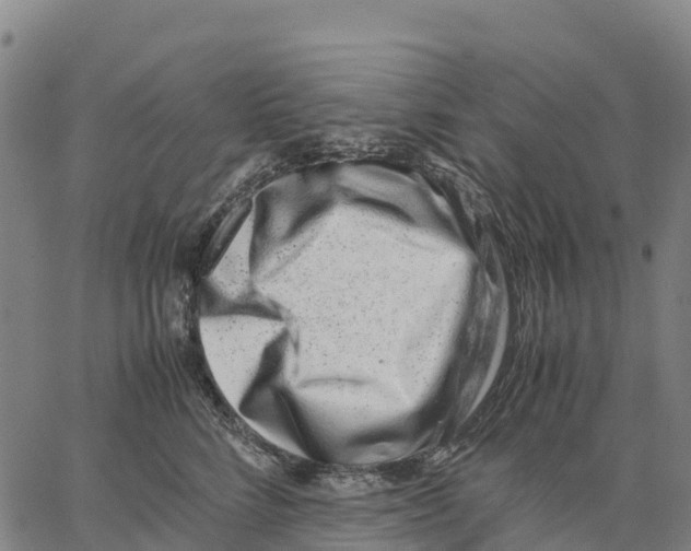 X0000062880712200602101716