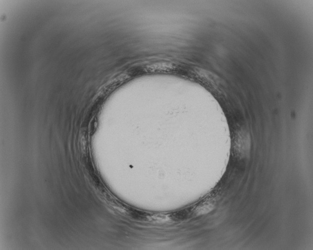 X0000062880715200602101716