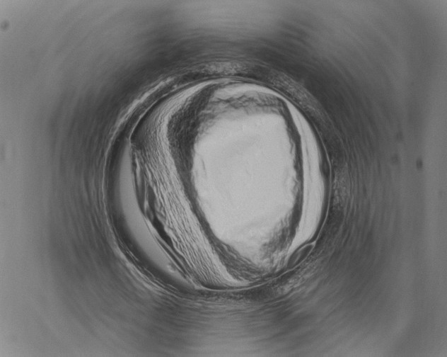 X0000062880722200602101715
