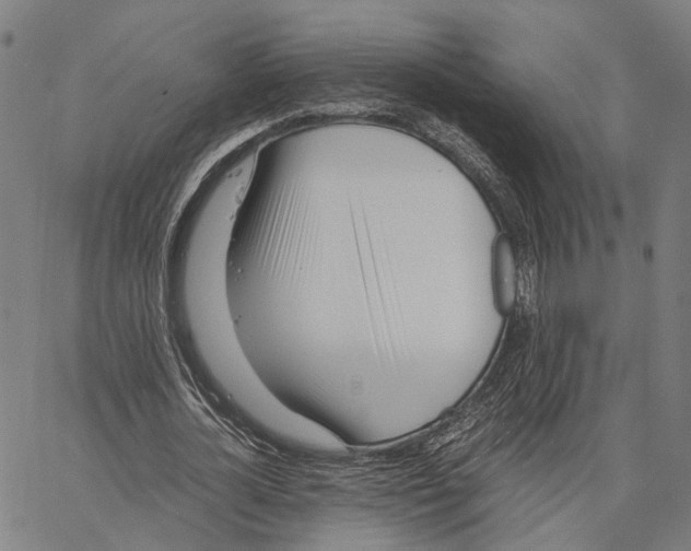 X0000062880724200602101716