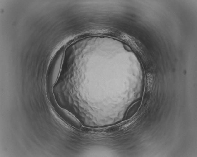 X0000062880726200602101716