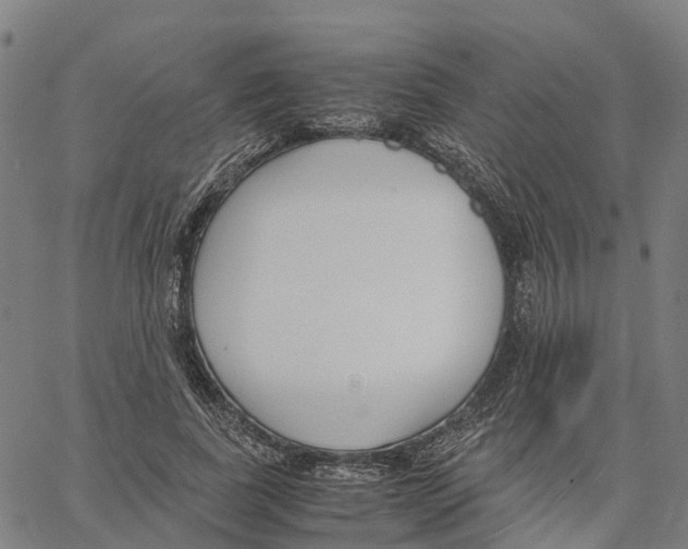 X0000062880739200602101716