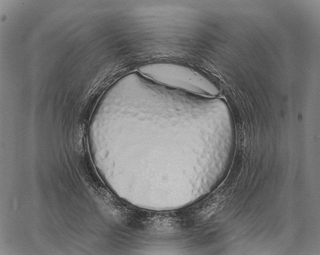 X0000062880742200602101716