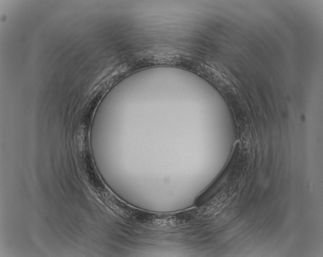 X0000062880744200602101716