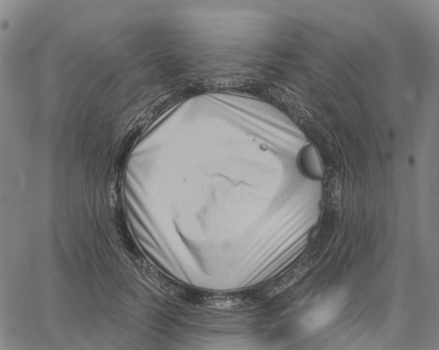 X0000062880746200602101716