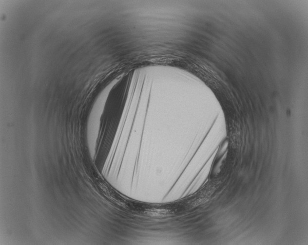 X0000062880748200602101716