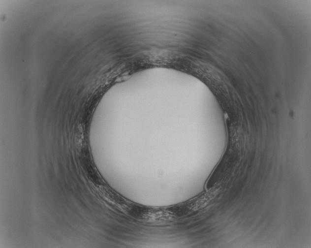 X0000062880752200602101716