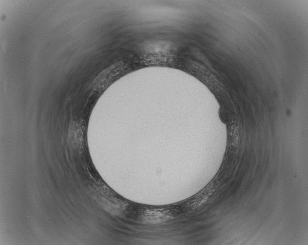 X0000062880753200602101716