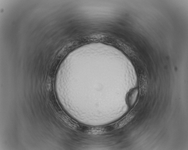 X0000062880758200602101716