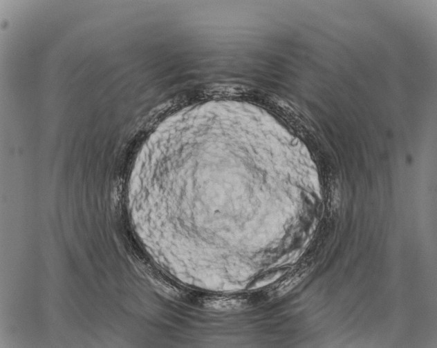 X0000062880759200602101716