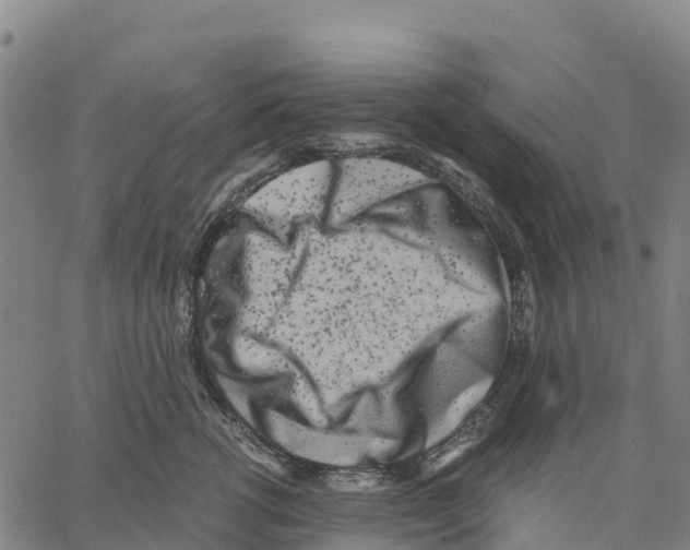 X0000062880762200602101716