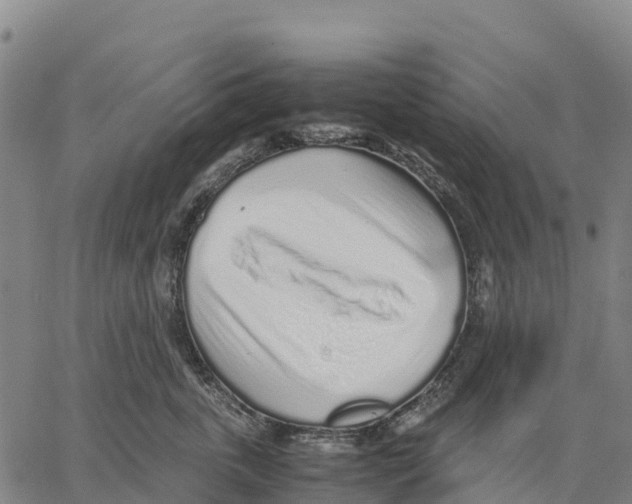 X0000062880763200602101716