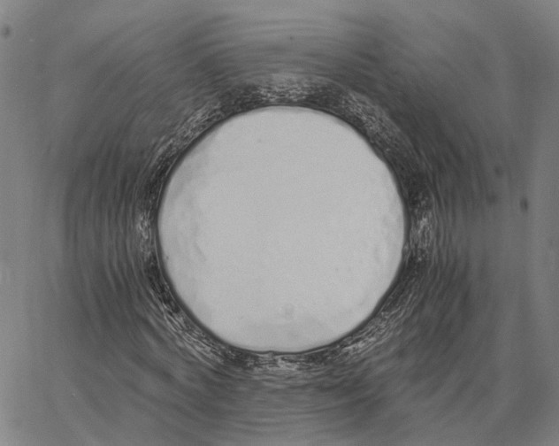X0000062880772200602101715