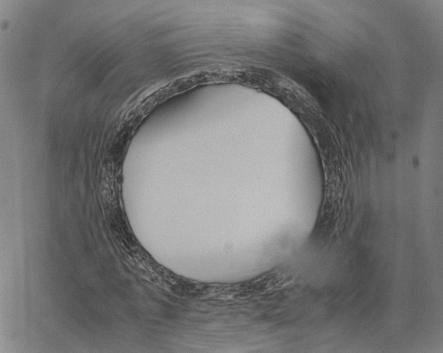 X0000062880773200602101715