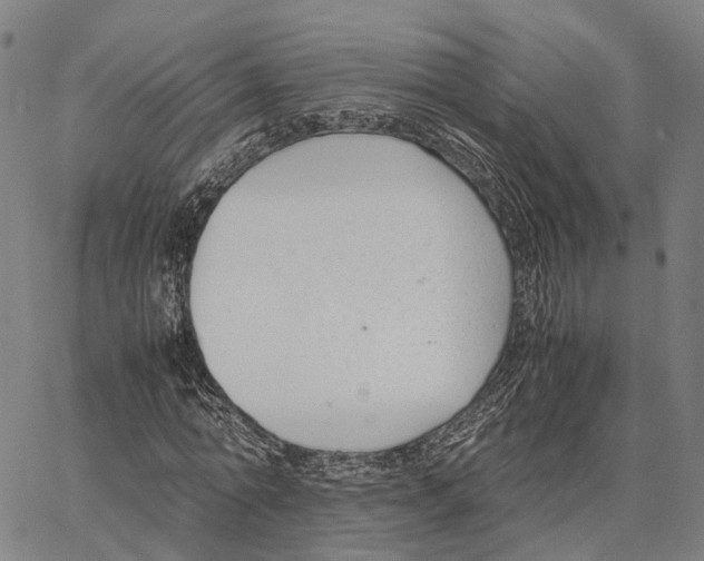 X0000062880774200602101715