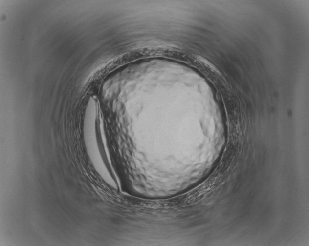 X0000062880775200602101715
