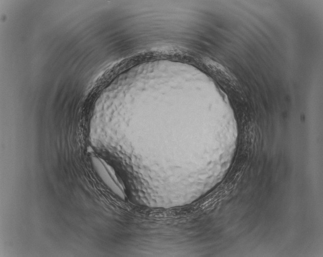 X0000062880776200602101715