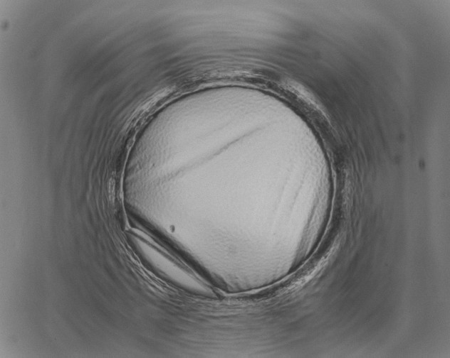X0000062880777200602101715