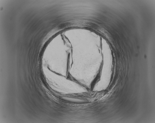 X0000062880779200602101715