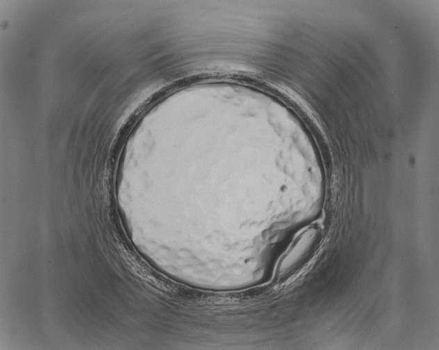 X0000062880783200602101715