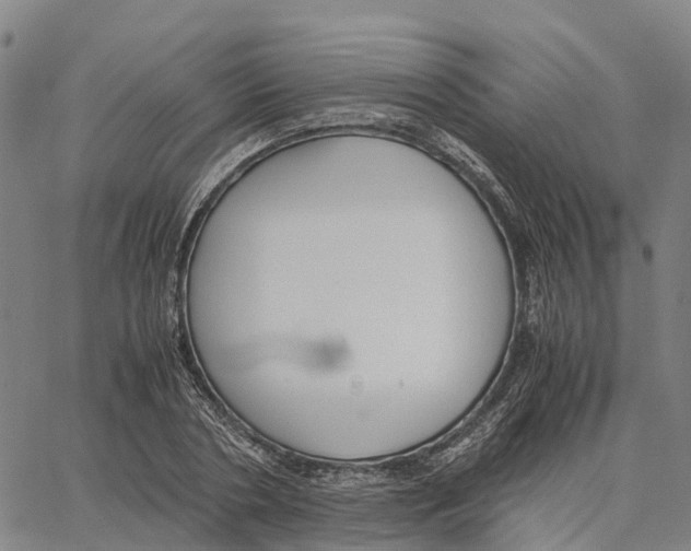 X0000062880786200602101715