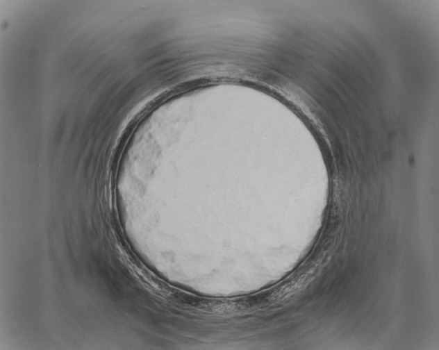 X0000062880791200602101715