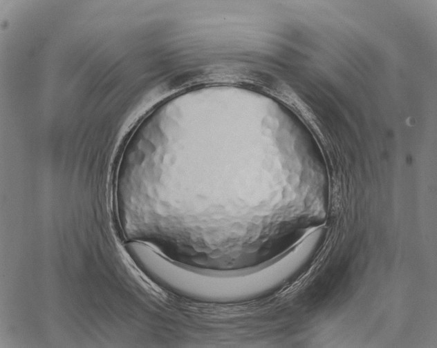 X0000062880795200602101715