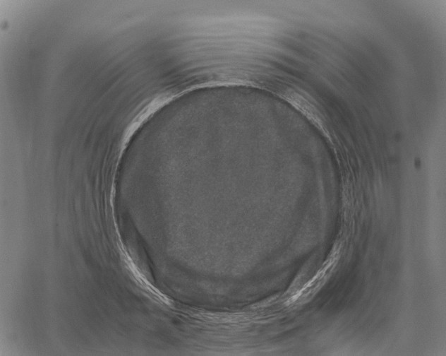 X0000062880797200602101715
