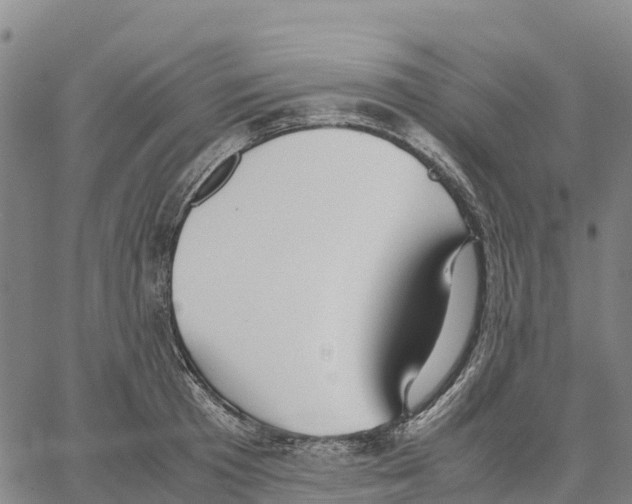 X0000062880801200602101715