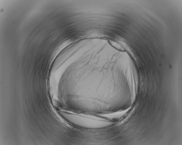 X0000062880810200602101715