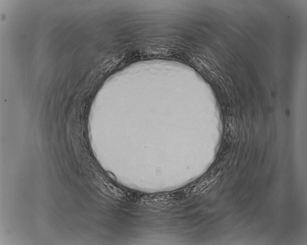 X0000062880817200602101714