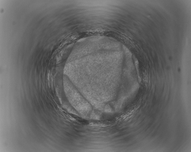 X0000062880818200602101714