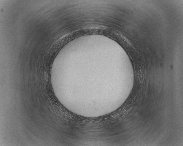 X0000062880821200602101714