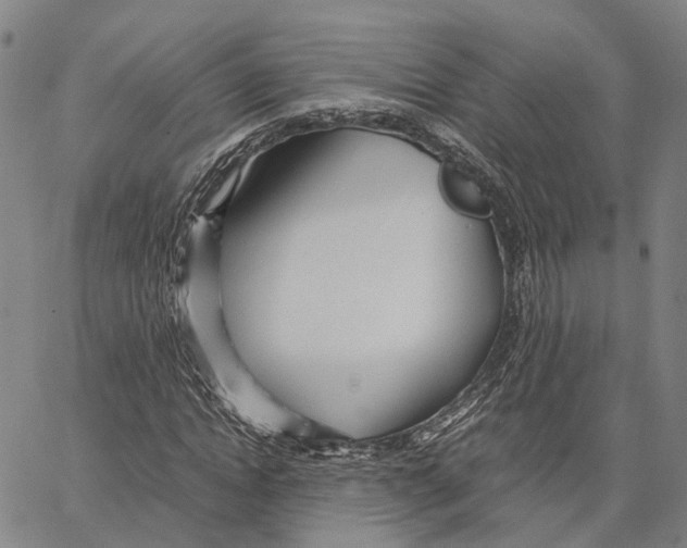 X0000062880822200602101714