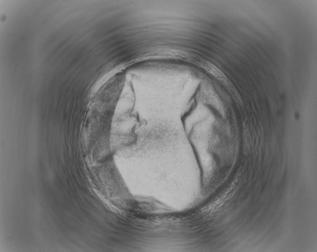 X0000062880842200602101714