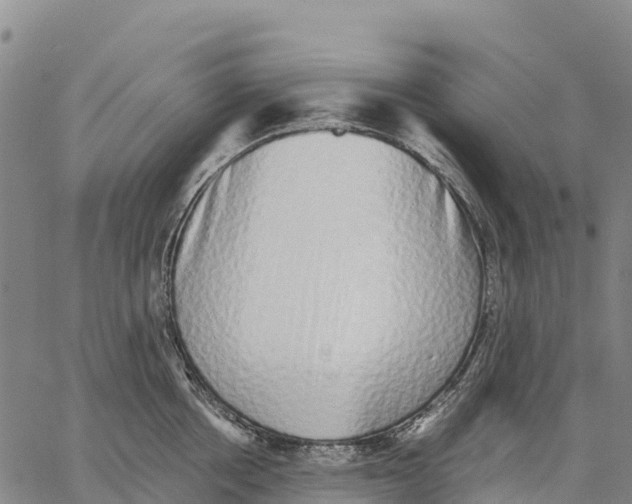 X0000062880858200602101715