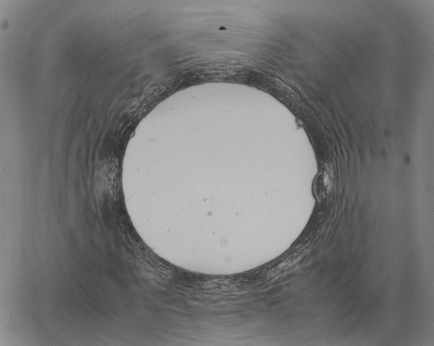 X0000062880867200602101714