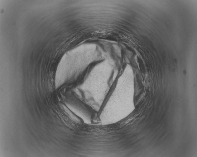 X0000062880868200602101714