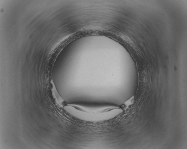 X0000062880872200602101714