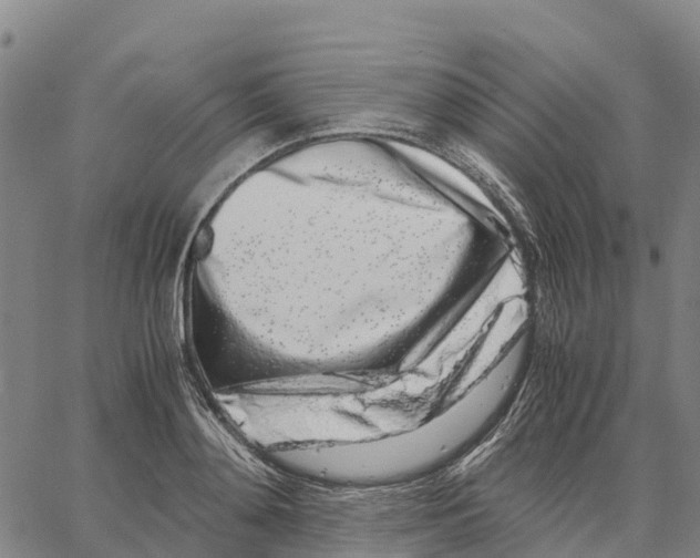 X0000062880892200602101713