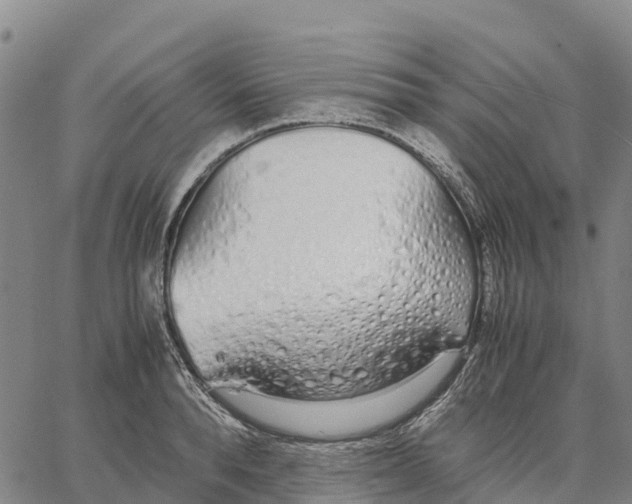 X0000062880896200602101713