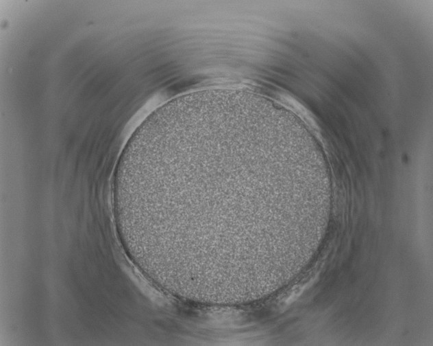 X0000062880907200602101713