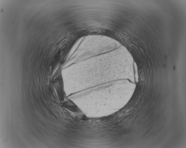 X0000062880916200602101712