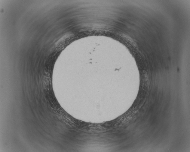 X0000062880918200602101712