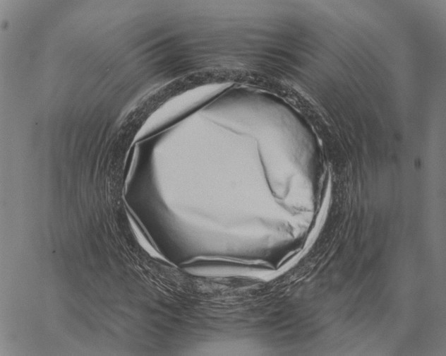 X0000062880919200602101712