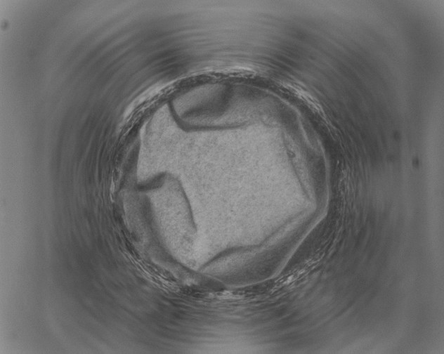 X0000062880920200602101712