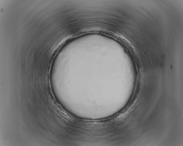 X0000062880921200602101712