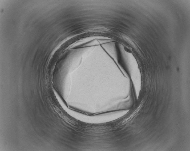 X0000062880923200602101713